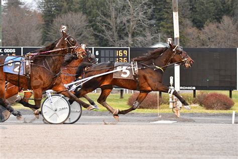 2023 Live Harness Racing Schedule .